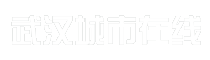 武汉城市在线